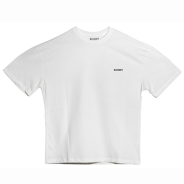 T-shirt unisex “Sober? Never Heard of Her” – Stile virale, stampa retro – Brand DANDY